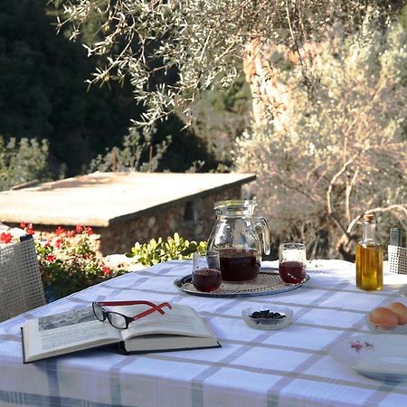 הוילה חאניה Kleanthi'S House מראה חיצוני תמונה
