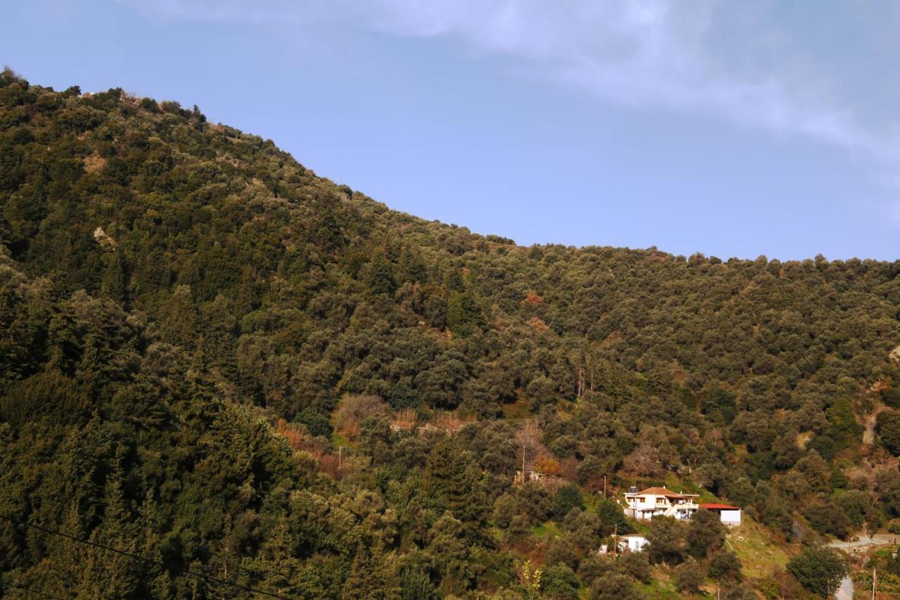 הוילה חאניה Kleanthi'S House מראה חיצוני תמונה